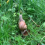 Strandlust - Fuer Eine Gemuetliche Auszeit Zu Jeder Jahreszeit *
