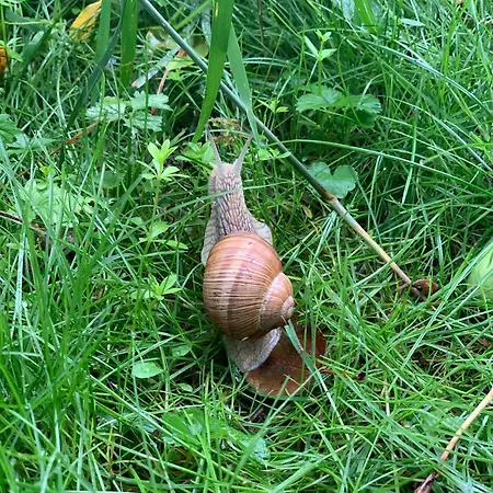 Strandlust - Fuer Eine Gemuetliche Auszeit Im Winter *